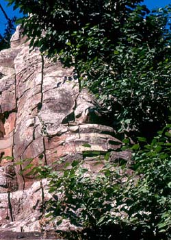 Bayon Face, Siem Reap, Cambodia - Hanuman Tourism Voyages
