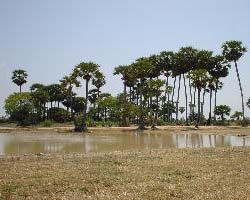 Siem Reap Countryside, Siem Reap, Cambodia - Hanuman Tourism Voyages