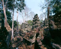 Ta Prohm View, Siem Reap, Cambodia - Hanuman Tourism Voyages